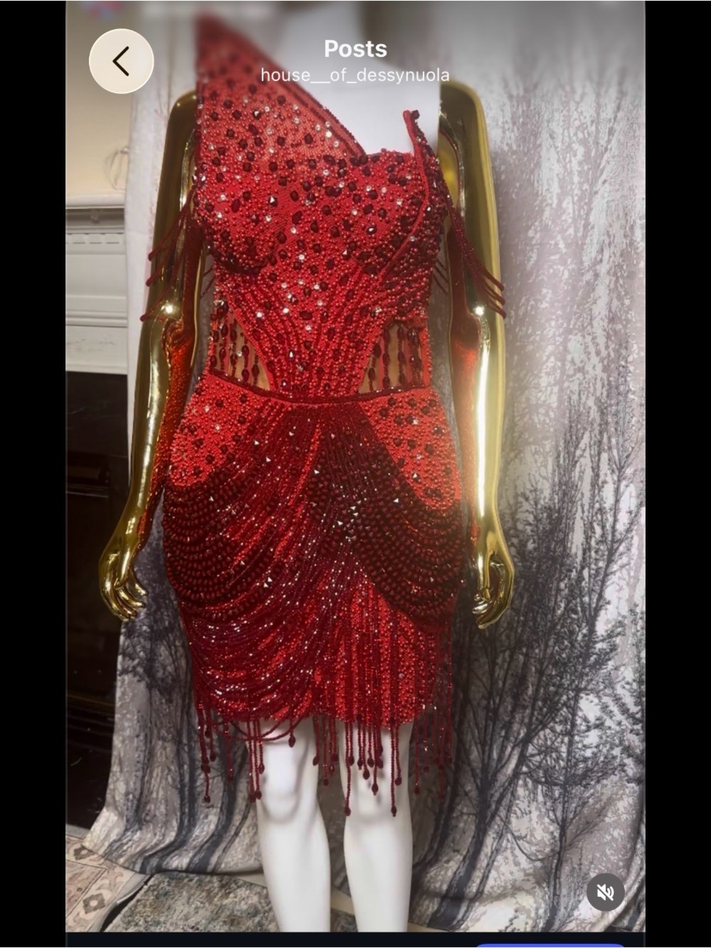 Hand Crafted Red Beaded Fringe Mini Dress